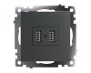 Розетка USB Stekker Катрин GLS10-7115-06 49422