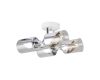 Потолочная люстра Freya Dual FR5226PL-04W