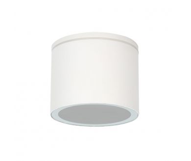 Уличный потолочный светильник Arte Lamp Piautos A1913PF-1WH