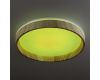 Потолочный светильник Citilux Enzo CL753352G