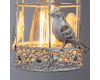 Бра Arte Lamp Cincia A5090AP-1WG