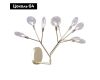 Бра Crystal Lux Evita AP9 Gold/Transparent
