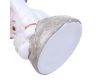 Настольная лампа Lumion Atlas 8208/1T