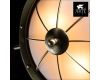 Потолочный светильник Arte Lamp Wheel A5500PL-2AB