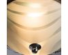 Потолочный светильник Arte Lamp 28 A3008PL-2CC