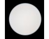 Потолочный светильник Loft IT AXEL 10001/36 Grey