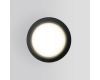 Уличный потолочный светильник Elektrostandard Light 4690389175909