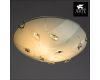 Потолочный светильник Arte Lamp A4045PL-2CC