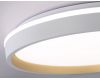 Потолочный светильник Ambrella Light Orbital Dance FZ607