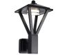Уличный настенный светильник Citilux Genox CLU12W