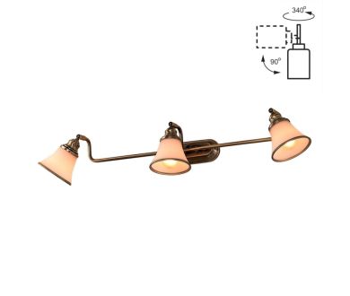Спот Citilux Прованс CL511533