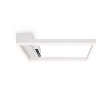 Потолочный светильник Freya Frame FR6084CL-L82W