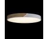 Потолочный светильник Loft IT AXEL 10004/36 White