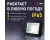 Прожектор Эра LPR-042-3-65K-020 Б0064457