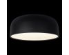 Потолочный светильник Loft IT Axel 10201/480 Black