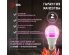 Фитолампа для растений Эра ФИТО A65-20W-PL-E27-GR Б0068597