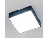 Накладной светильник Citilux Тао CL712X122N