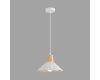 Подвесной светильник Lumion Suspentioni Eoliana 8352/1A