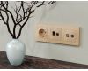 Лицевая панель Alfa (Шампань) для компьютерной/телефонной + TV розетки RJ-45/RJ-11 Quant Ambrella Volt AP6125