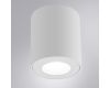 Накладной светильники Arte Lamp Tino A1469PL-1WH