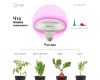 Фитолампа для растений светодиодная ЭРА E27 18W 2370K FITO-18W-RB-E27 Б0049533