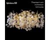 Потолочная люстра Crystal Lux Tenerife PL8