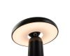 Настольная аккумуляторная лампа Freya Mushroom FR6109TL-L4B