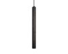 Подвесной светильник Loft IT Everest 10583D Black