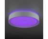 Потолочный светильник Citilux Boss CL751250G