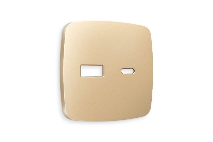 Лицевая панель для розетки 2USB тип A+C Ambrella Volt Omega OP6110