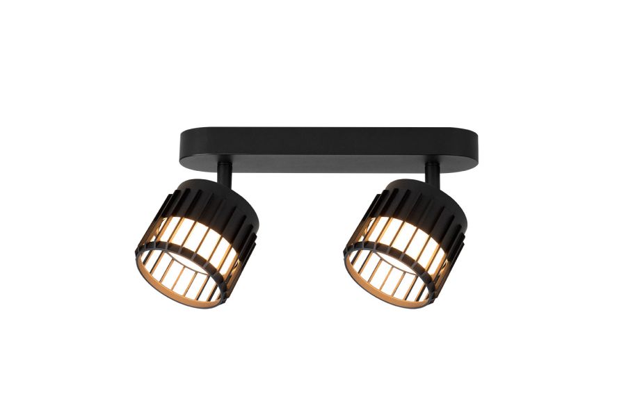 Спот Arte Lamp Atria A8031PL-2BK