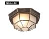 Уличный светильник Arte Lamp Pegasus A3121PF-1BN