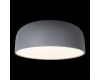 Потолочный светильник Loft IT Axel 10201/480 Grey