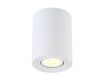 Потолочный светильник Crystal Lux CLT 410C1 WH