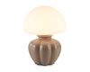 Настольная лампа Ambrella Light High Light Ceramo Modern LH53247