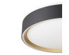 Потолочный светильник Citilux Boss CL751251G