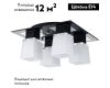Потолочная люстра Lussole Lente LSC-2507-04