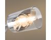 Потолочная люстра Freya Dual FR5226PL-04W