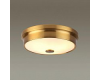 Потолочный светильник Odeon Light 4824/3C