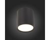 Потолочный светильник ST Luce Rene ST113.442.05