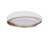 Потолочный светильник Evoluce Crosby SLE6009-502-01