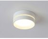 Накладной светильник Ambrella Light IP Protect TN5391