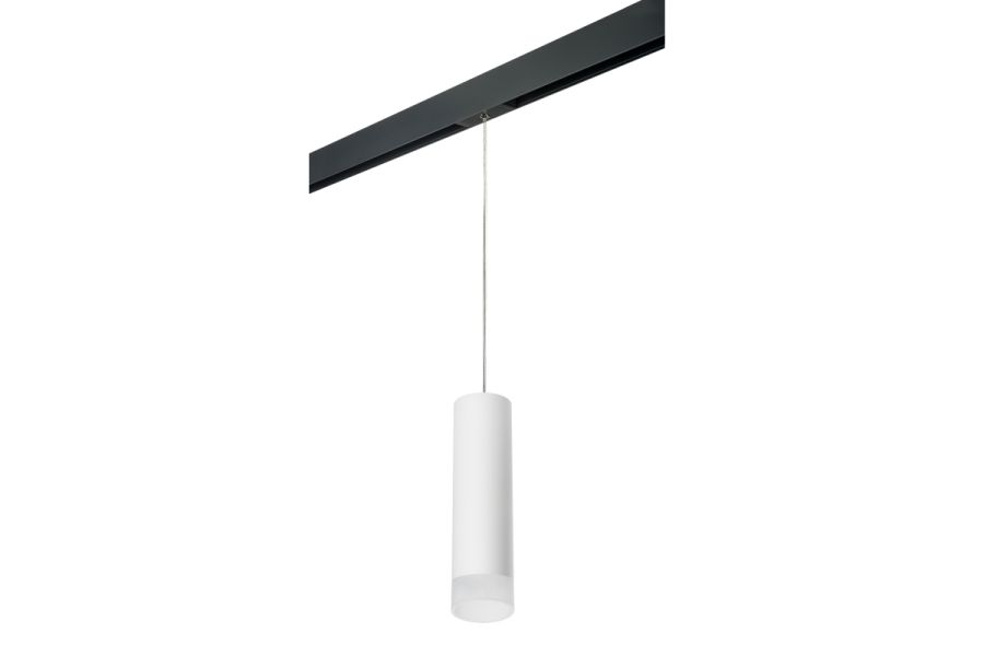 Трековый светильник Lightstar Rullo PRORP649681 (216496+595887+202481)