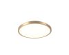 Потолочный светильник Milosh Tendence Medelina 0888CL-50GD
