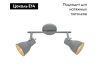Спот Arte Lamp A1677PL-2GY