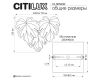 Настенный светильник Citilux Dryad CL305330