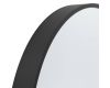 Зеркало декоративное Eglo Bani 425001