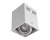 Потолочный светильник Arte Lamp Cardani A5942PL-1WH
