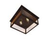 Потолочный светильник LOFT IT Modern filament Loft3110-2C