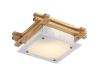 Потолочный светильник Arte Lamp 94 A6460PL-1BR